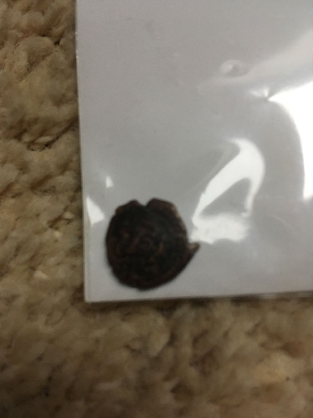 $10 Fine Silver Maple Leaf Forever