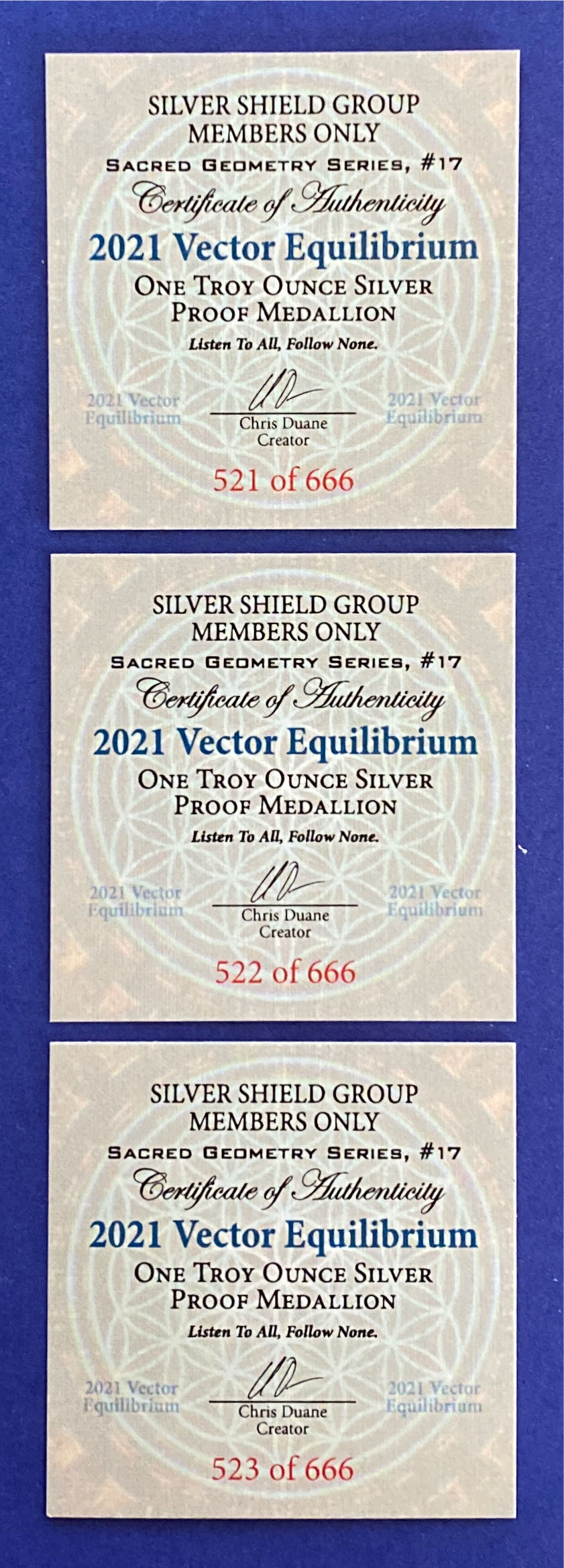 SS - Vector Equilibrium  coin collectible - Main Image 2