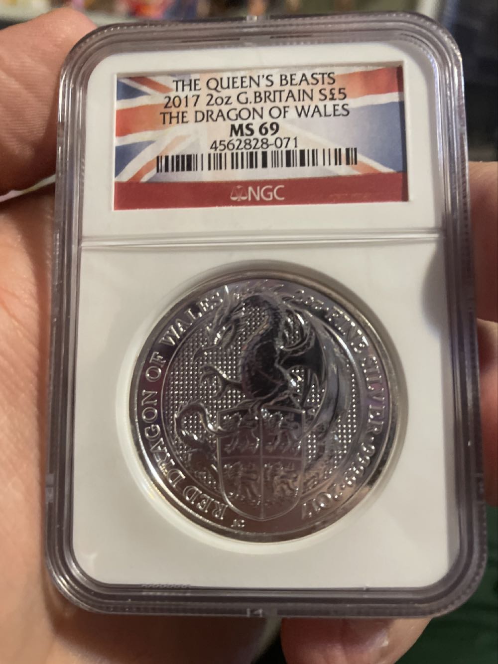 C123 Semi Gloss Rlm83 Dark Green 10ml Gsi Mr. Color