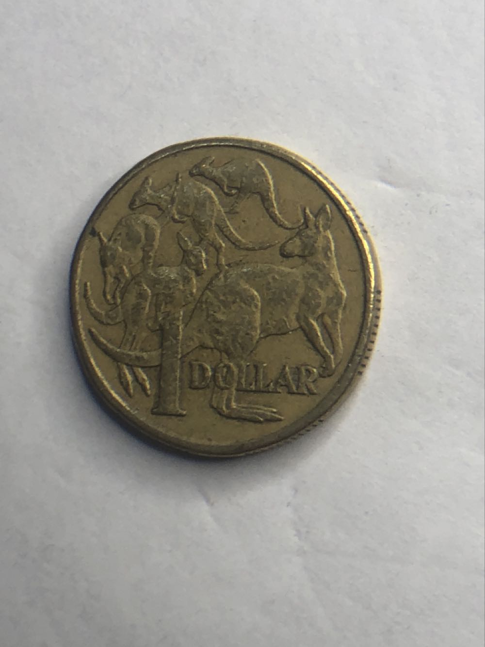 $1 Australia 1995  coin collectible - Main Image 2