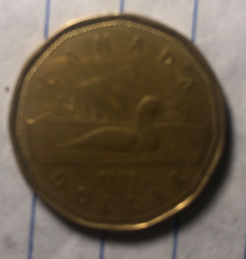 Elizabeth II D•G• Regina Dollar  coin collectible - Main Image 2