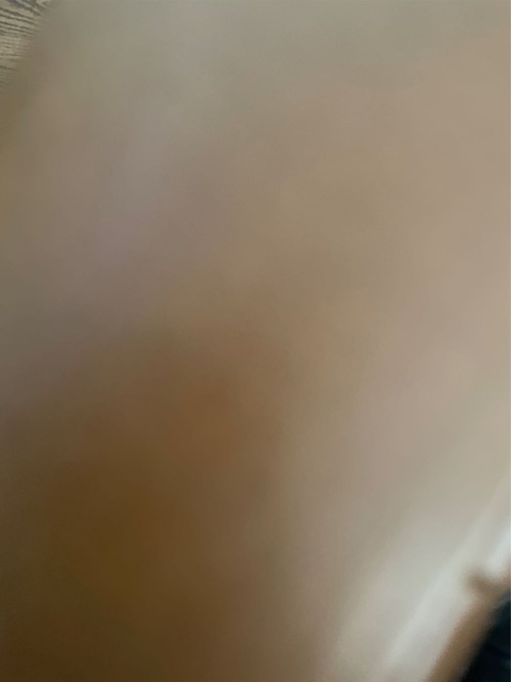 450 Jahre Spanische Hofreitschule