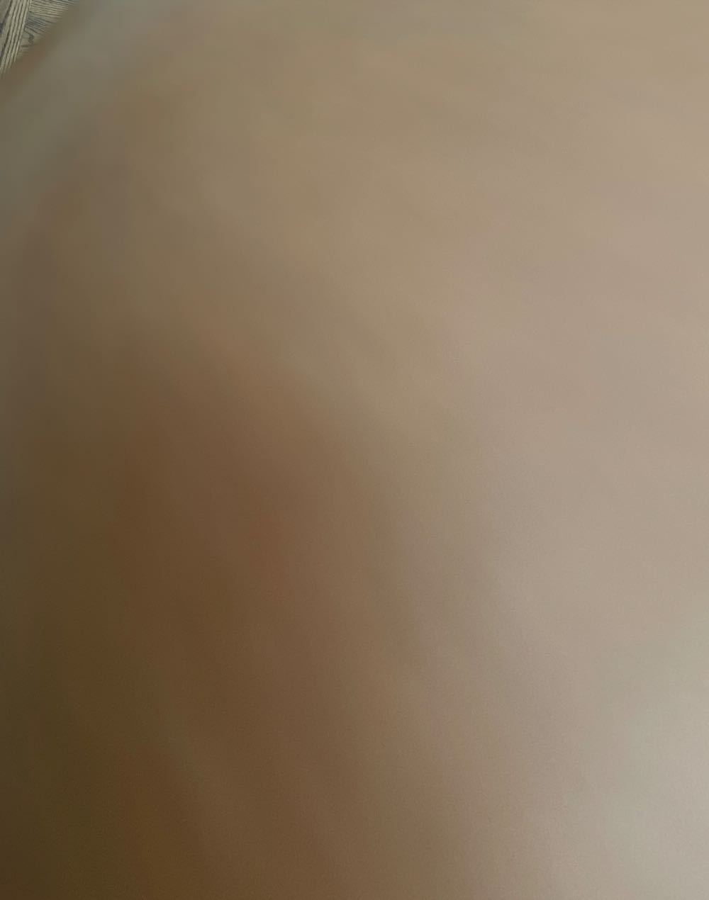 Funko Pop Movies: Little Shop Of Horrors Baby Audrey Ii Collectible Figure Multicolor