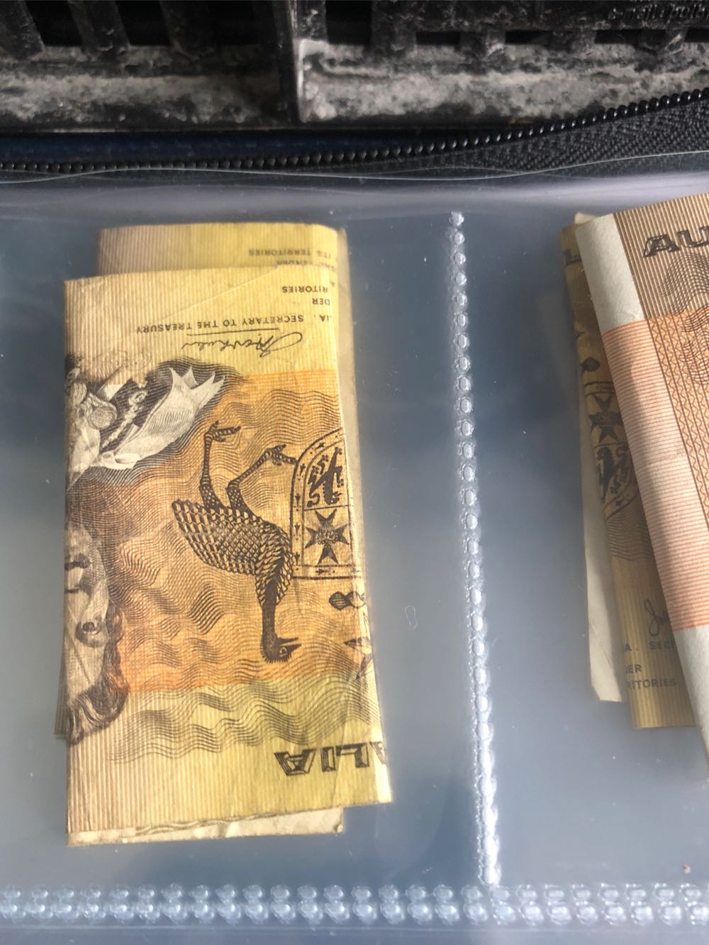 2005 CN Zheng He’s Voyage Anniversary