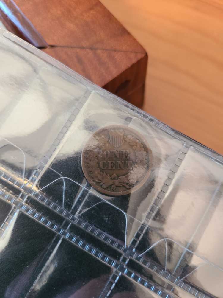 1881 Indian Head Penny  coin collectible - Main Image 2