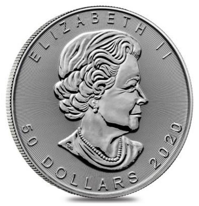 2020 $50 Platinum Maple Leaf  coin collectible - Main Image 2