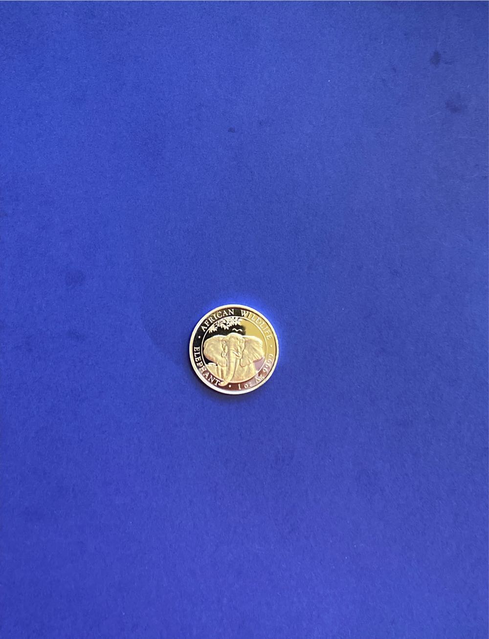 National Park Quarters: 50 States District Of Columbia & Territories: Collector’s Quarters Folder 2021 Warman’s Collector Coin Folders