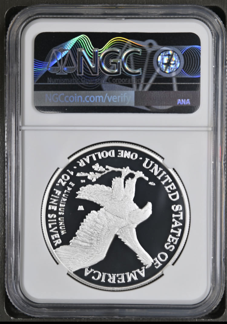 American Silver Eagle 2021-W Proof  coin collectible - Main Image 2