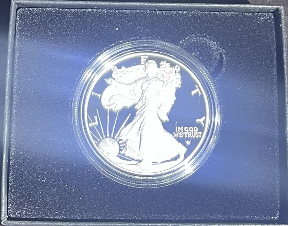 American Silver Eagle 2021-W Proof  coin collectible - Main Image 4