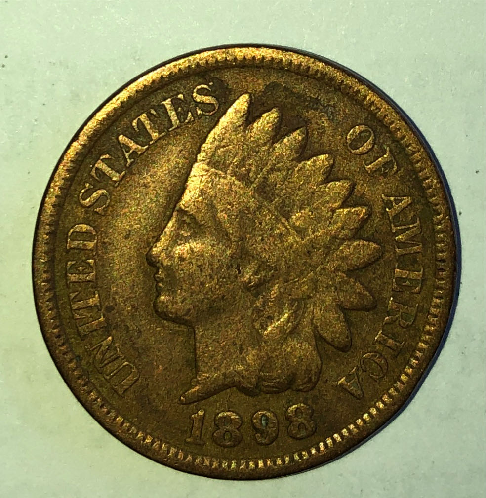 2020P Wedge-Tailed Eagle