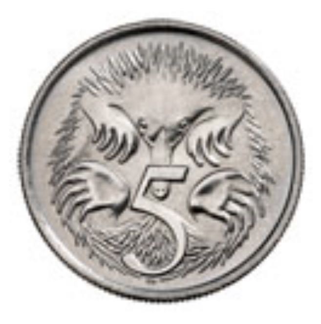 Terry Fox Loonie 1958-1981