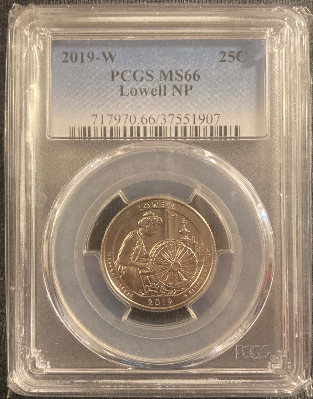 Canadian 2 Dollar Bear