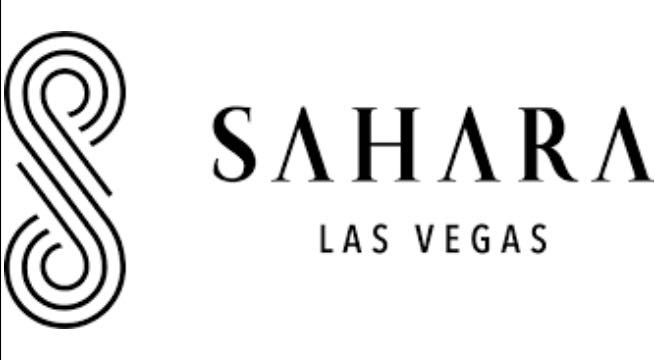 $1.00 Sahara  coin collectible - Main Image 3