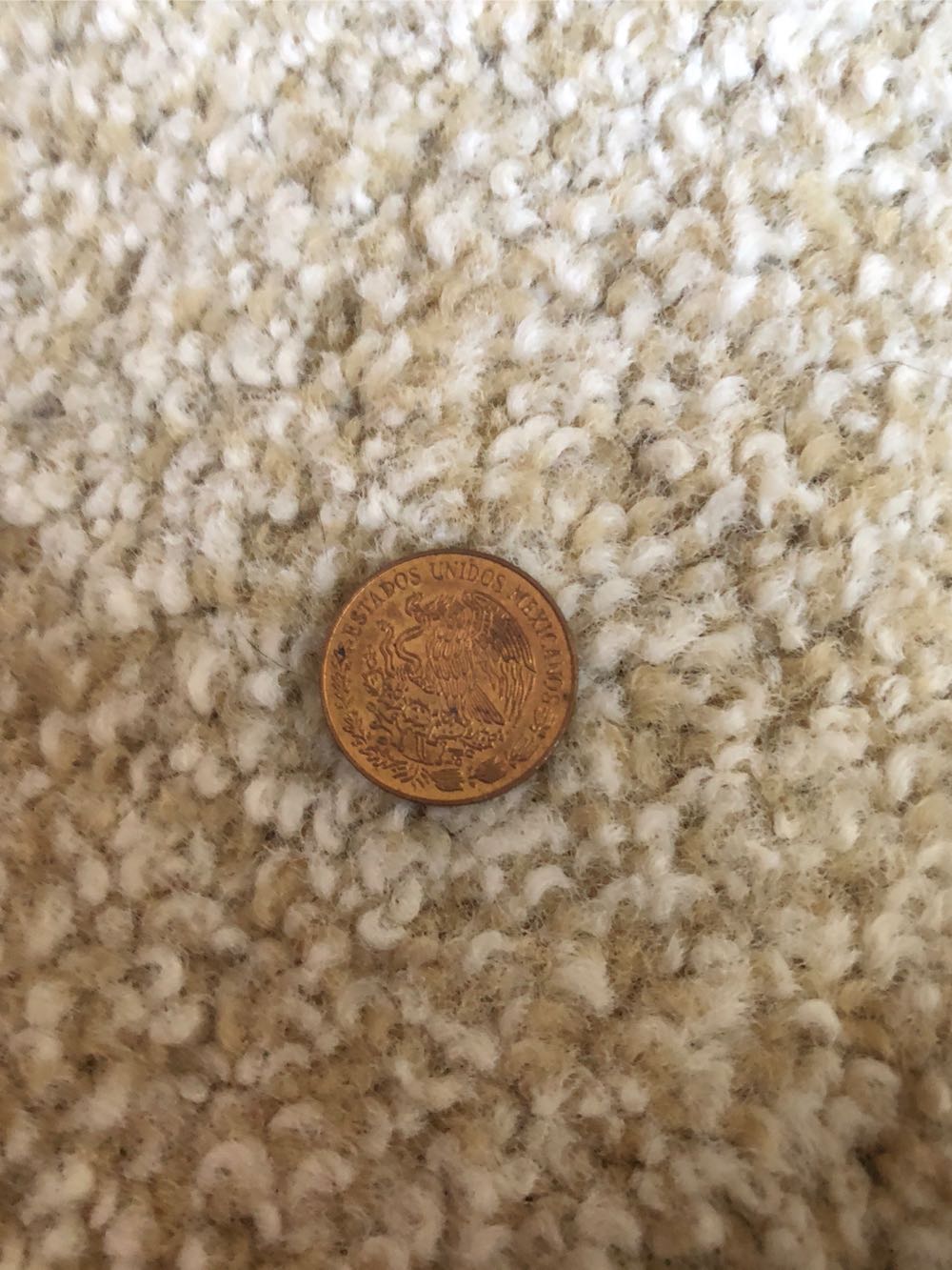 Canadian Loonie 2010