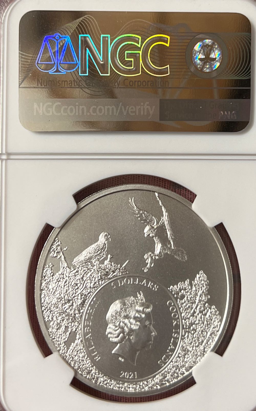 Tennessee - Racccoon  coin collectible - Main Image 2