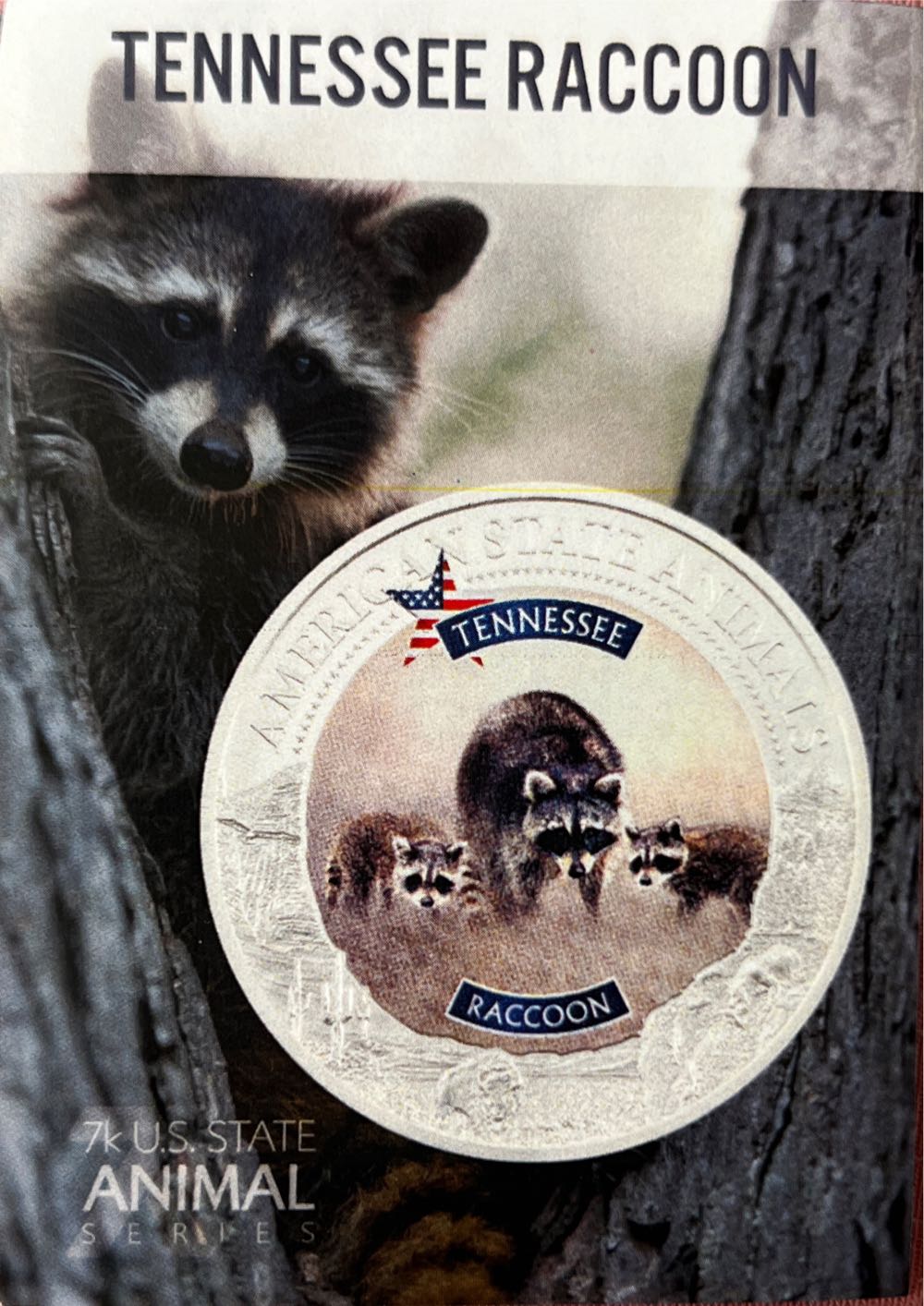 Tennessee - Racccoon  coin collectible - Main Image 3