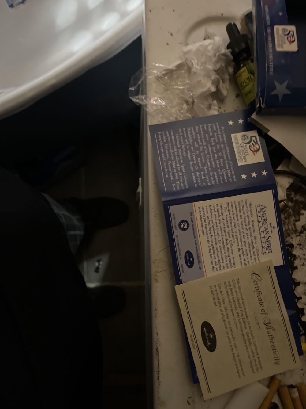 Hallmark American Spirit Collection Ornament Delaware American  coin collectible [Barcode 015012582123] - Main Image 4