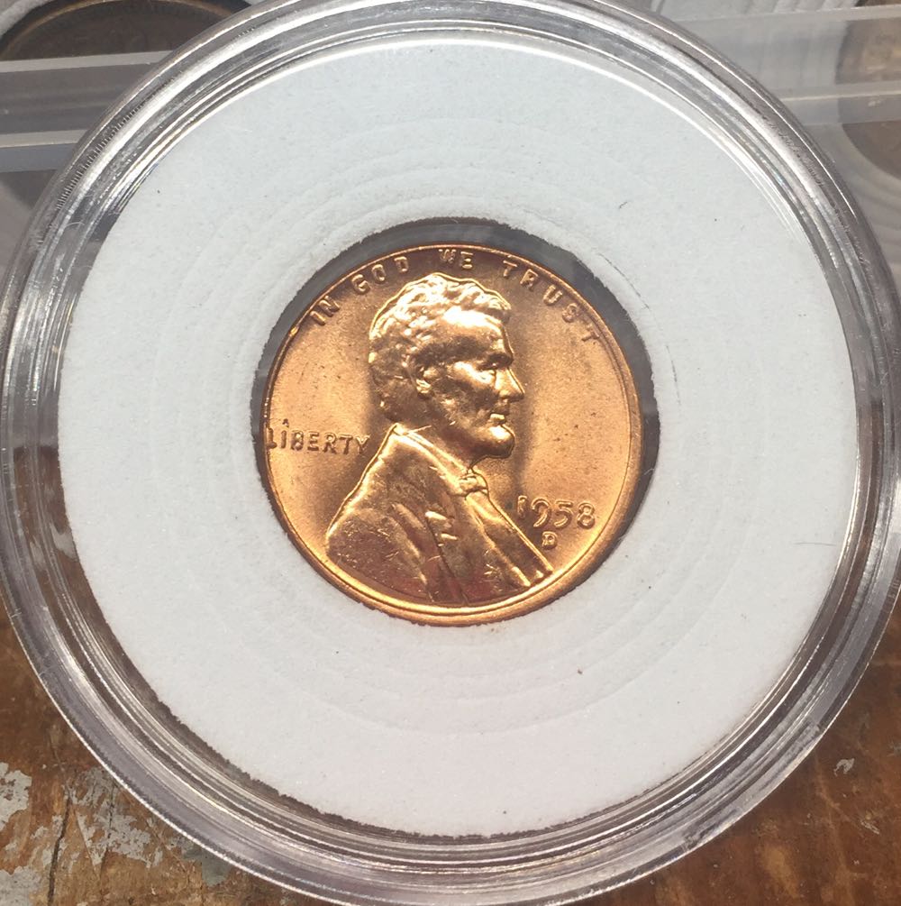 Defenders Life Member