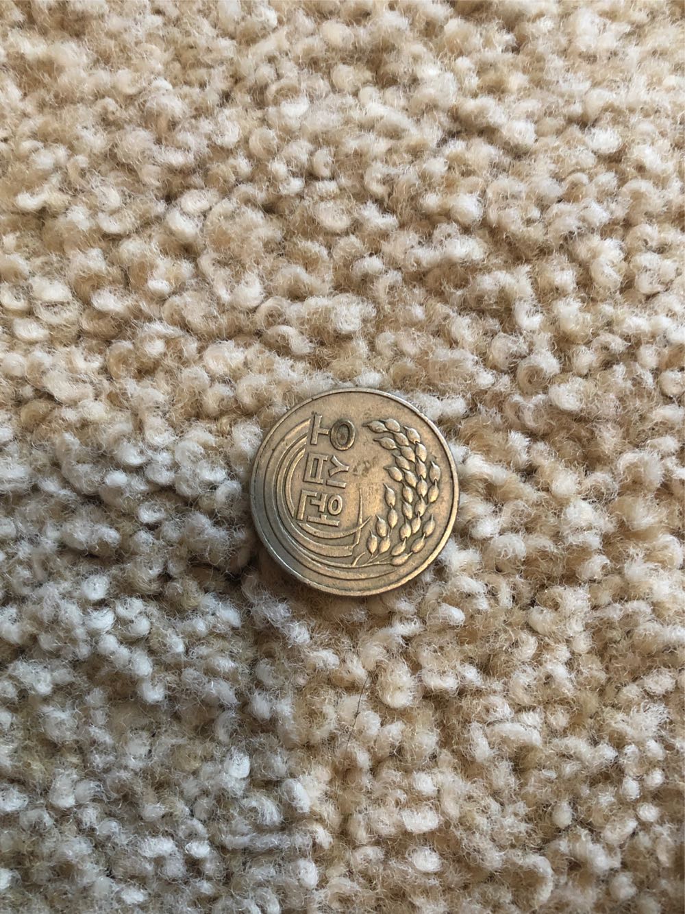 50 1979  coin collectible - Main Image 2