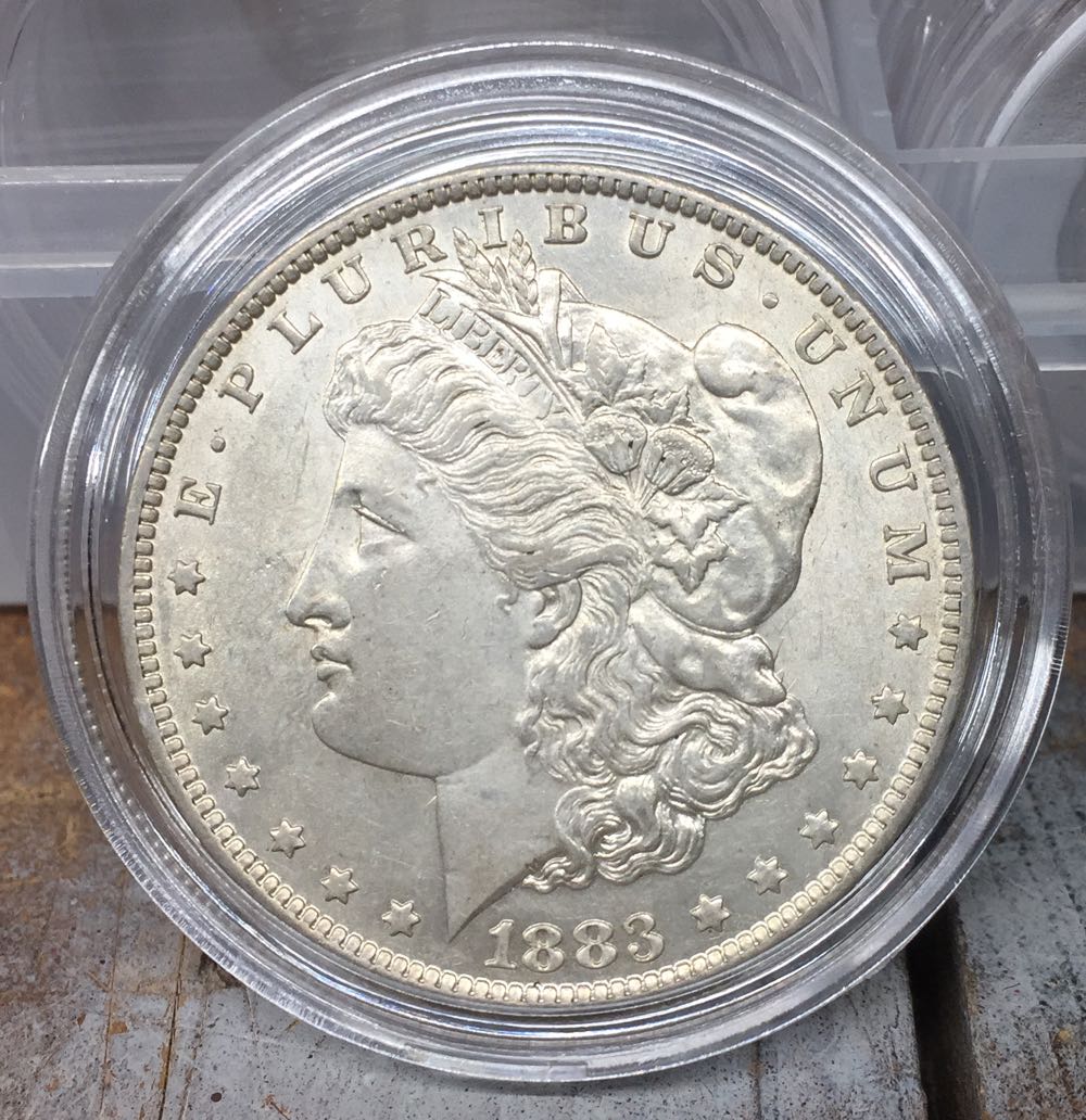 Quarter 2018-Cumberland Island P