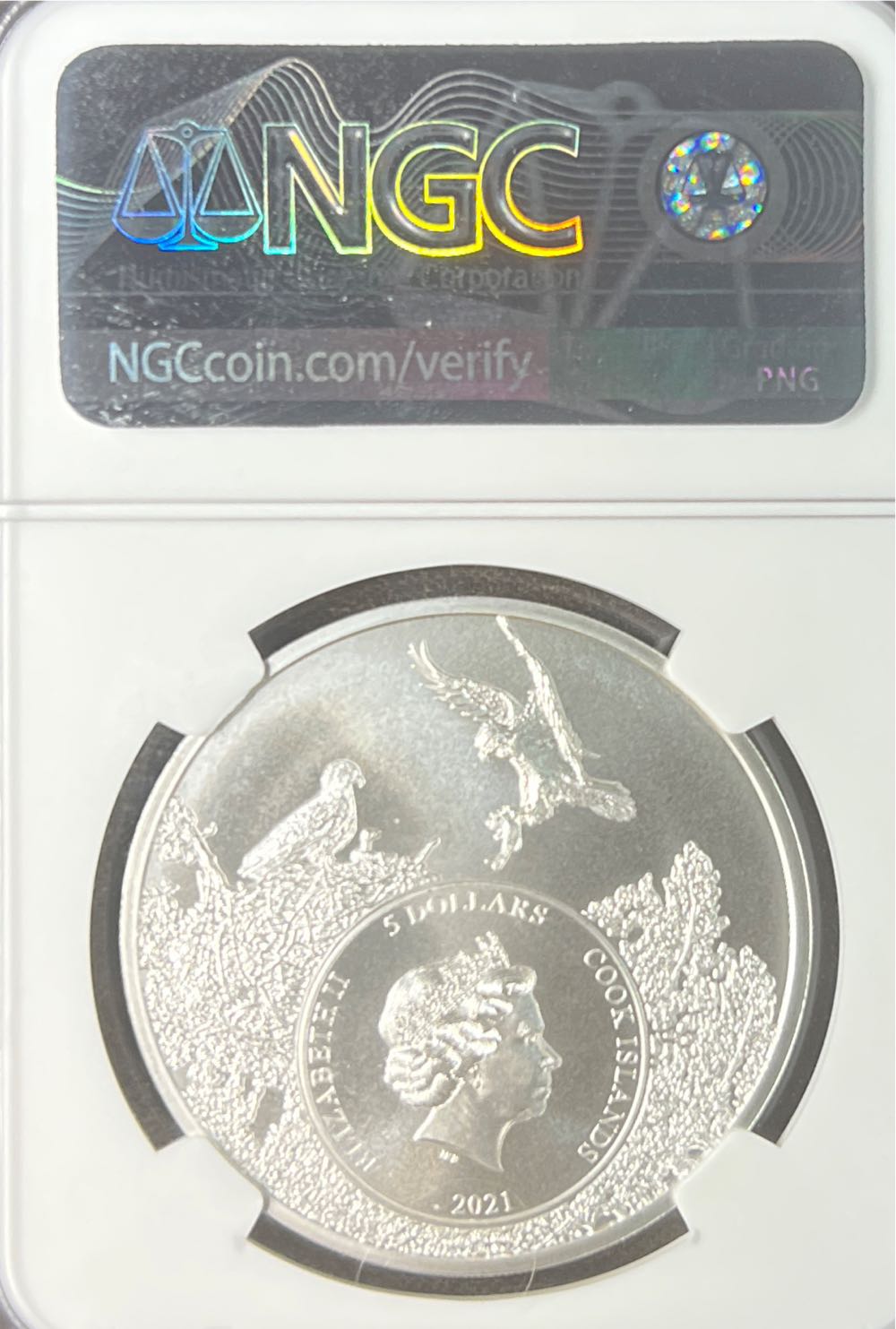 Texas-Longhorn  coin collectible - Main Image 2
