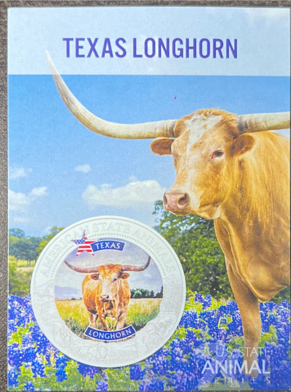 Texas-Longhorn  coin collectible - Main Image 3