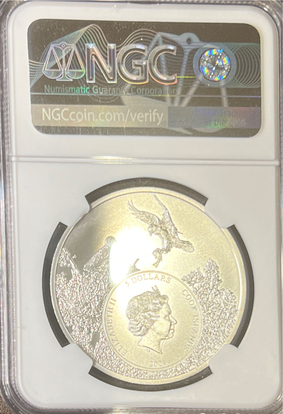 Pennsylvania-Ruffed Grouse  coin collectible - Main Image 2