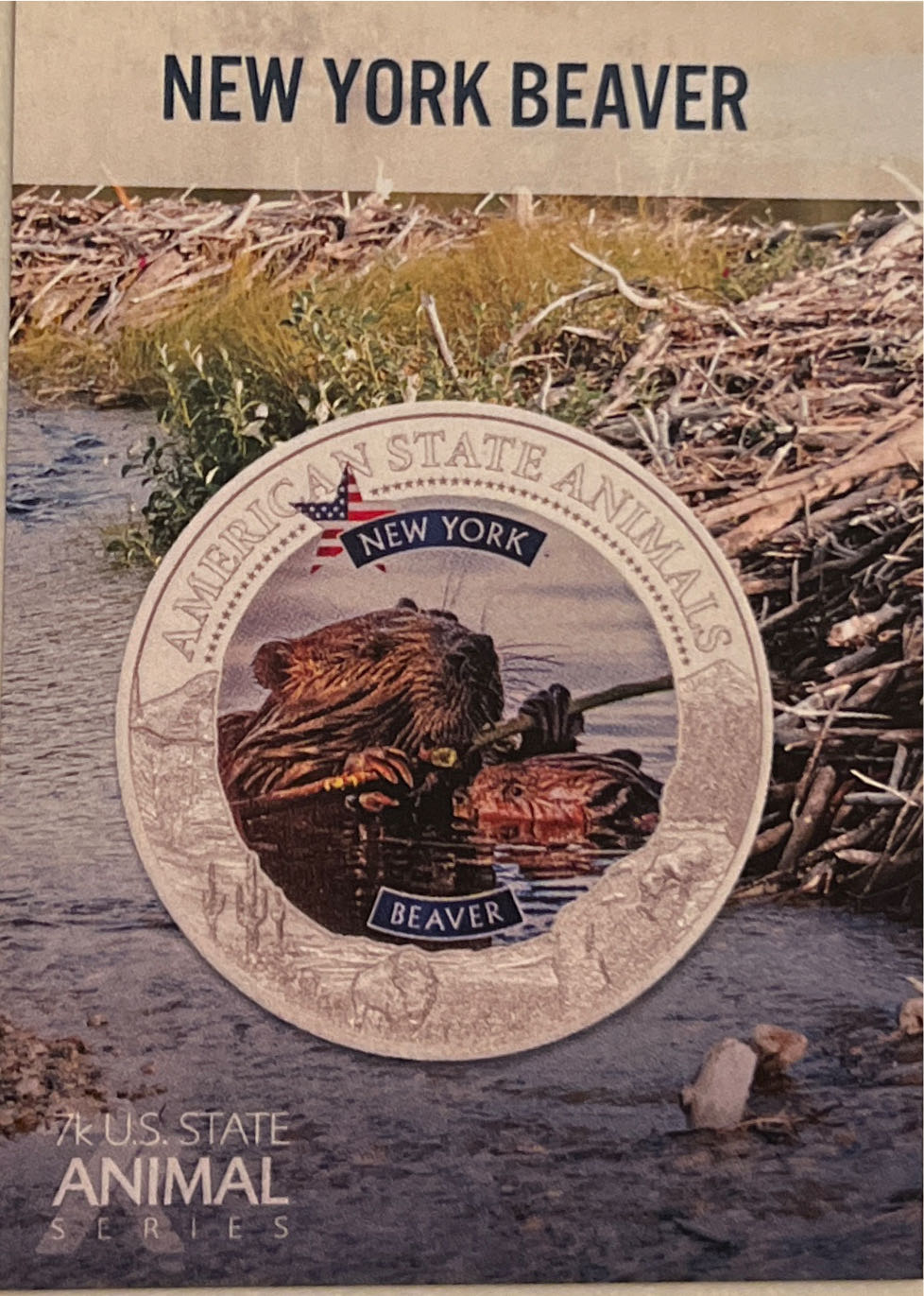 New York-Beaver  coin collectible - Main Image 3