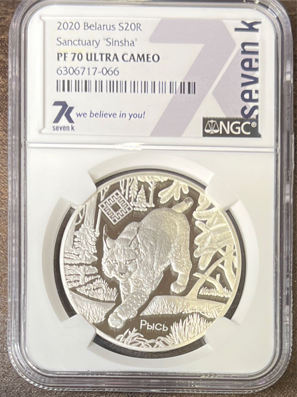 Silver Dollar American Eagle Unc - 2009