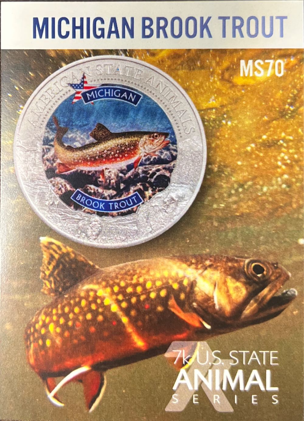 Michigan-Brook Trout  coin collectible - Main Image 3