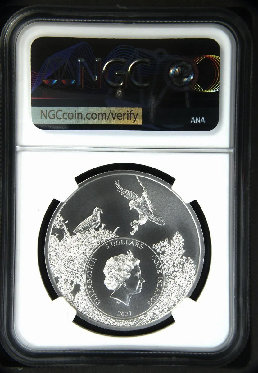 Louisiana - Brown Pelican  coin collectible - Main Image 2