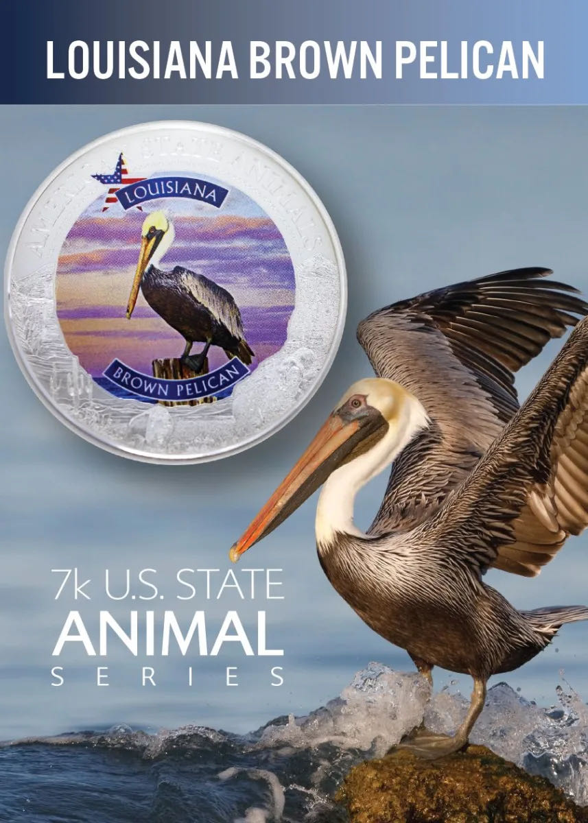 Louisiana - Brown Pelican  coin collectible - Main Image 3