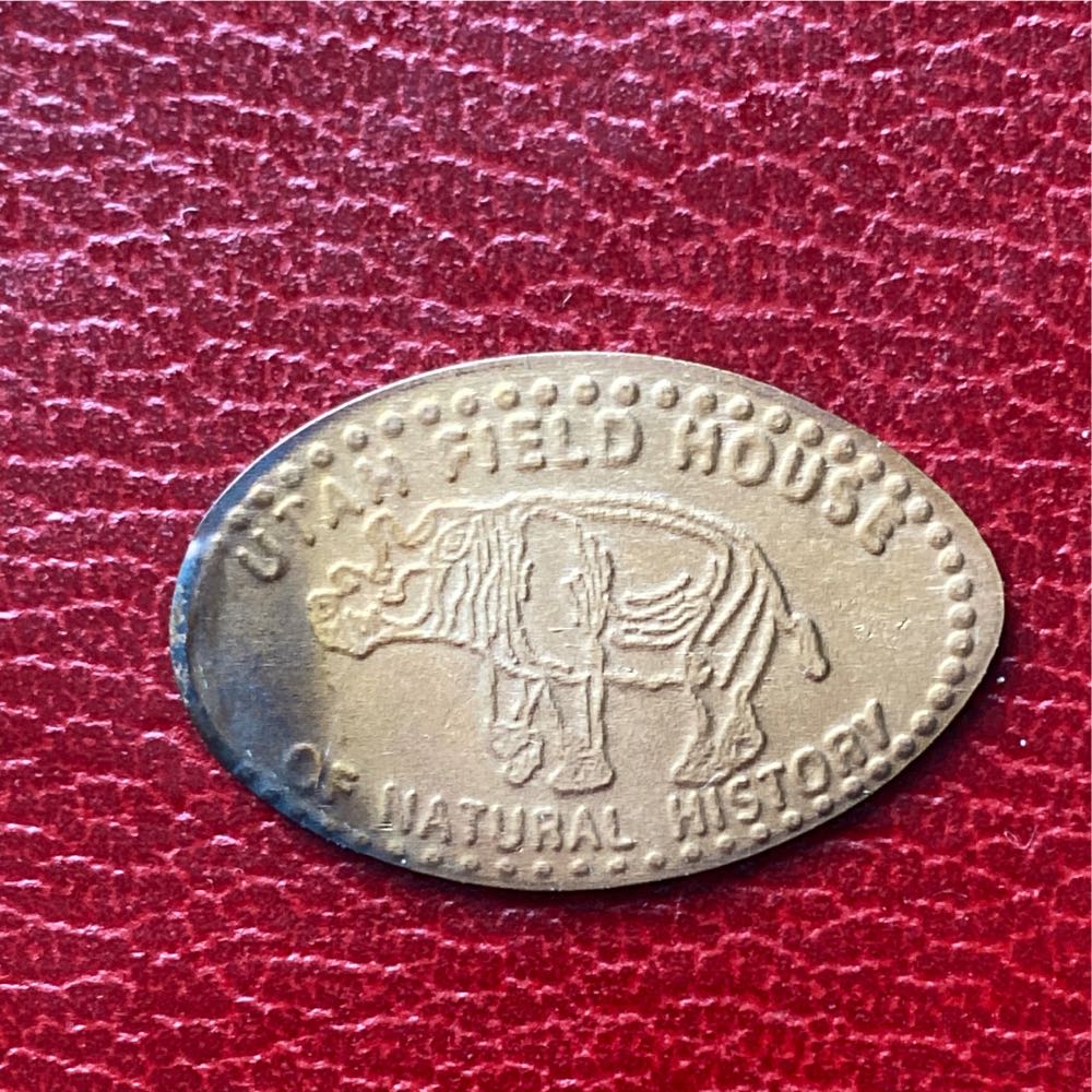 2018 Cumberland Island (P)