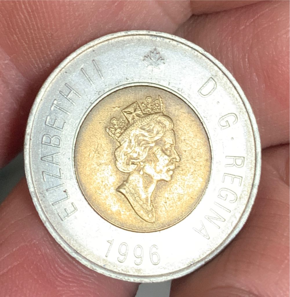 Carcassonne Chateau Comtal