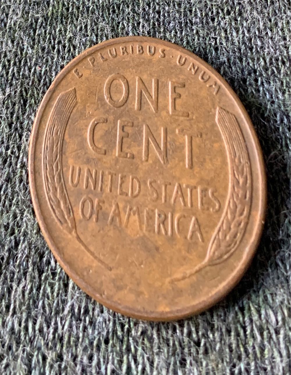 1955 D Lincoln Wheat Cent  coin collectible - Main Image 2