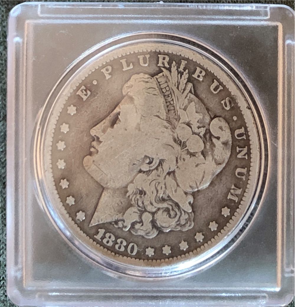 Hollywood Studios Chip Indiana Jones