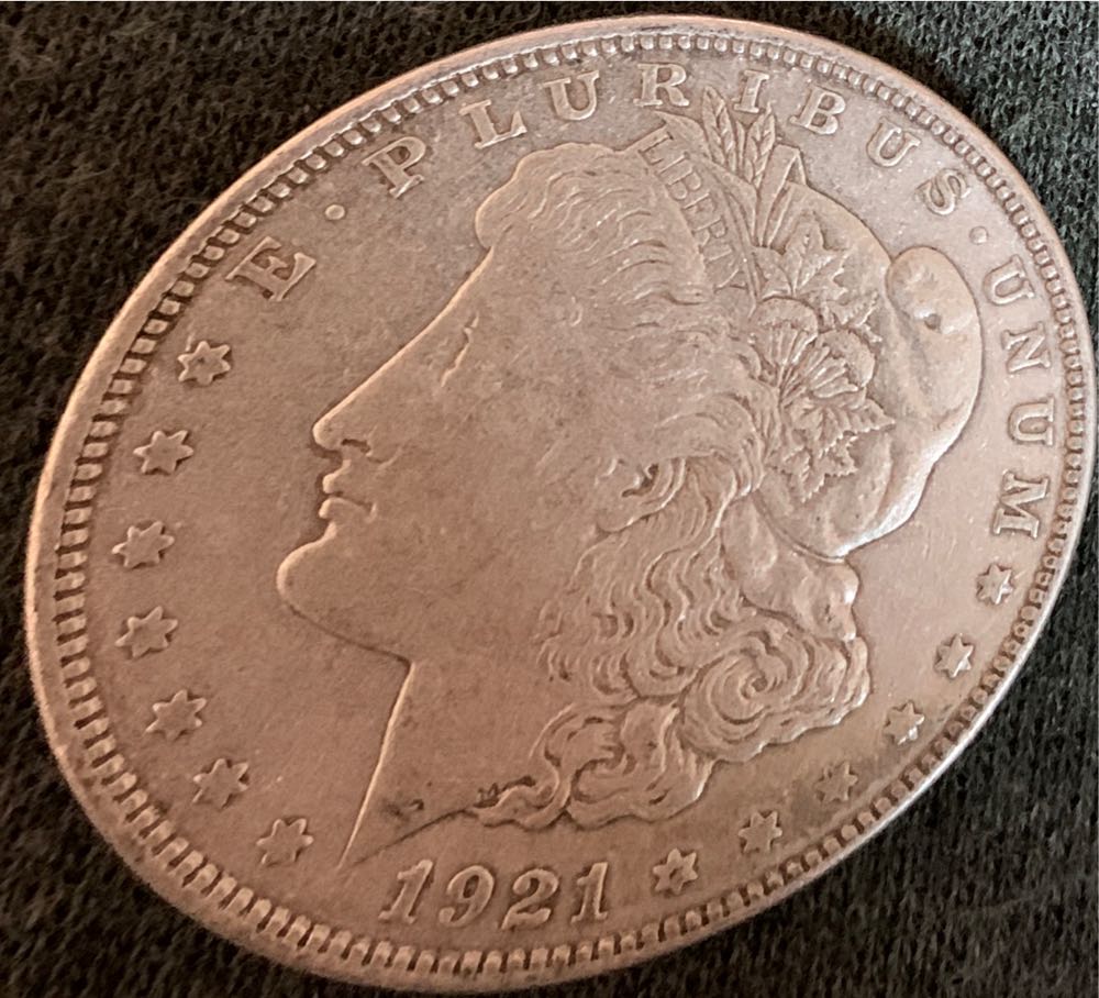 Hollywood Studios Flick