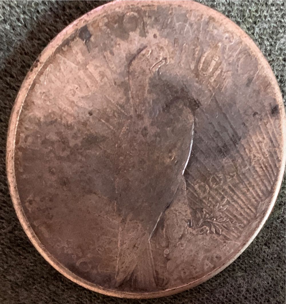 Peace Silver Dollar 1923  coin collectible - Main Image 2