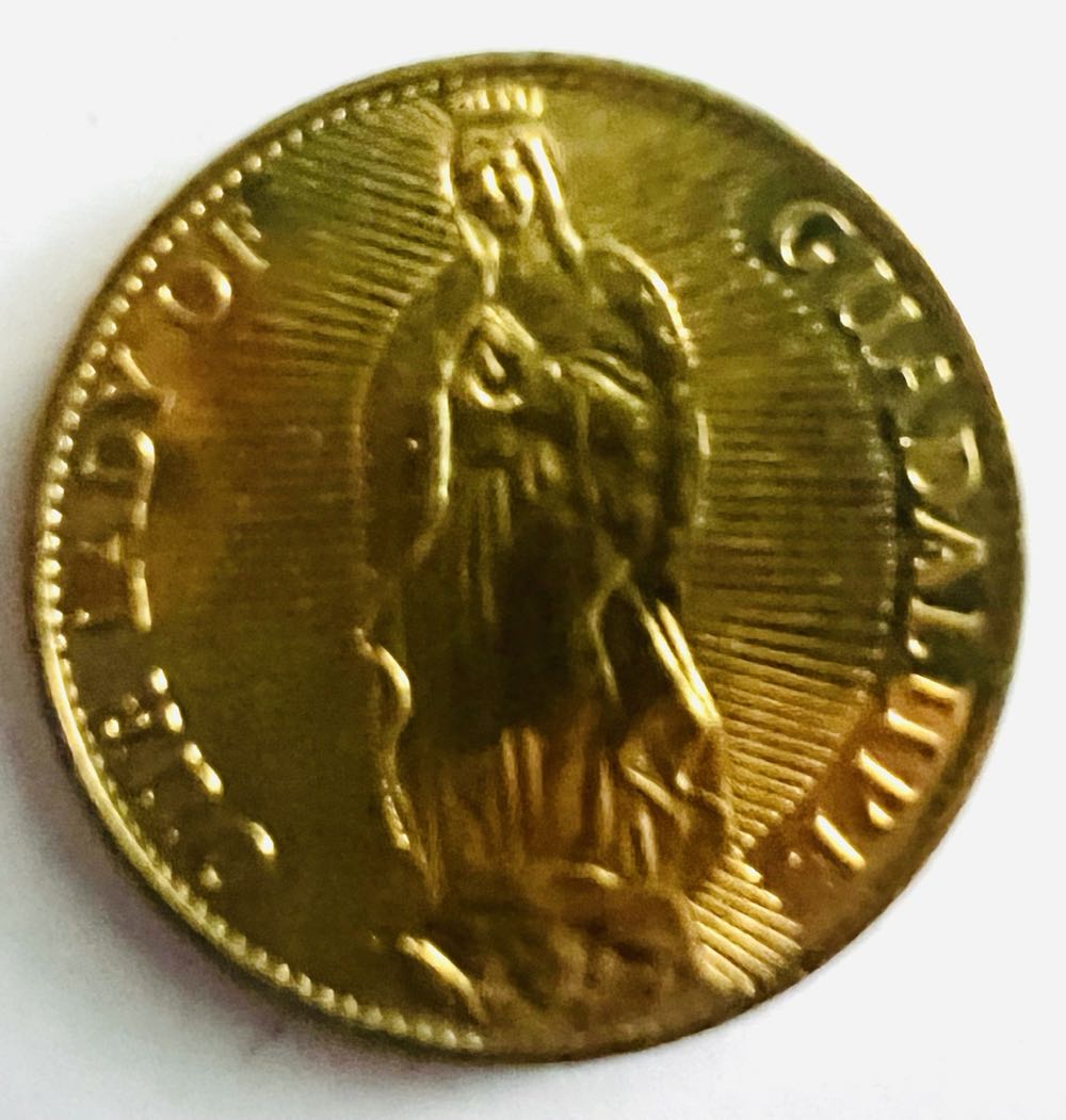 North American Museum Of Ancient Life: Long Neck