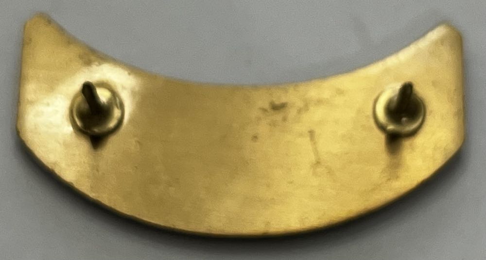 HOG 1995 Rocker  coin collectible - Main Image 2