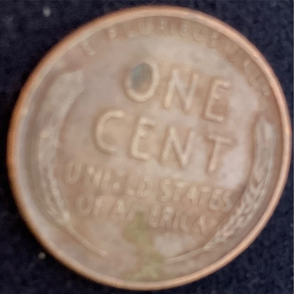 1952 D Wheat Cent  coin collectible - Main Image 2
