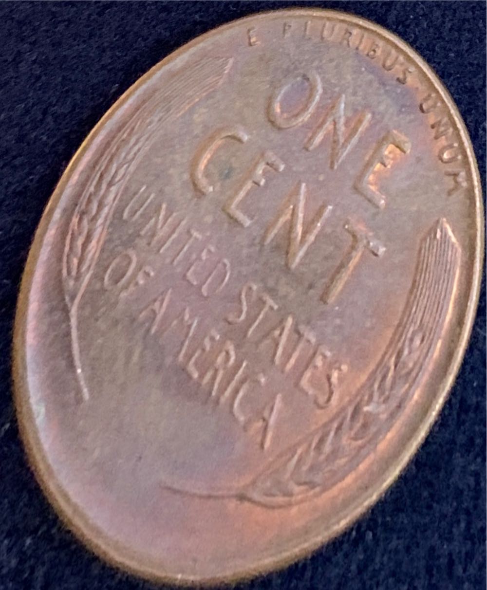 1955 S Wheat Cent  coin collectible - Main Image 2