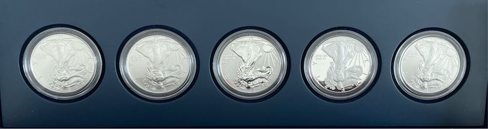 2011 American Eagle 25th Anniversary Silver 5 Coin Set  coin collectible - Main Image 2