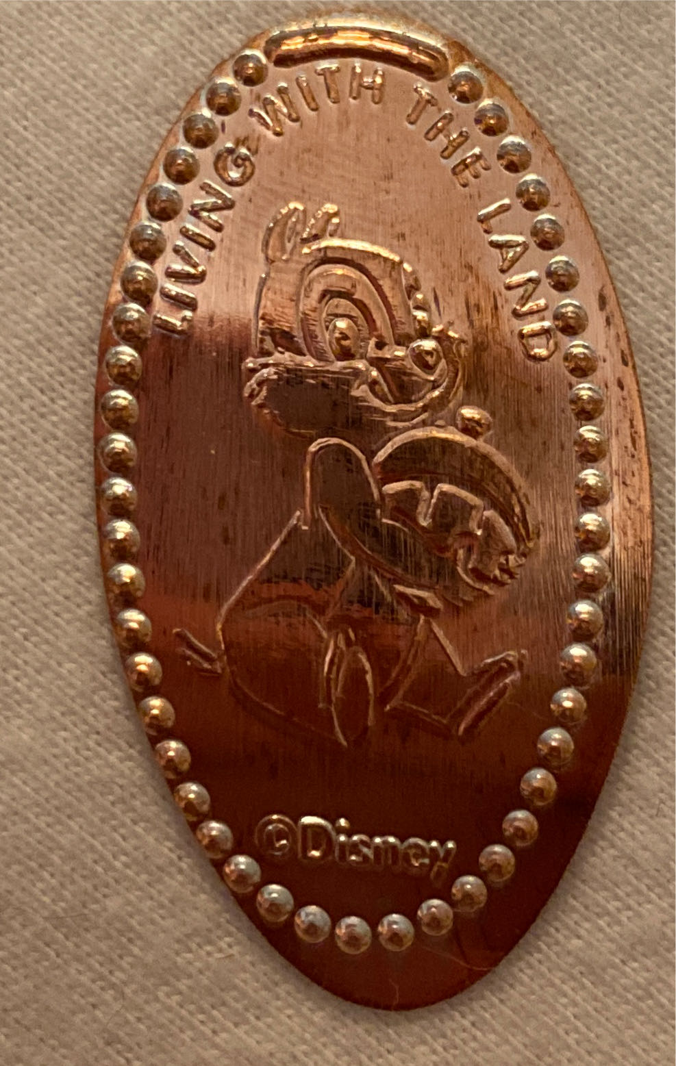 Living With The Land Bambi WDW