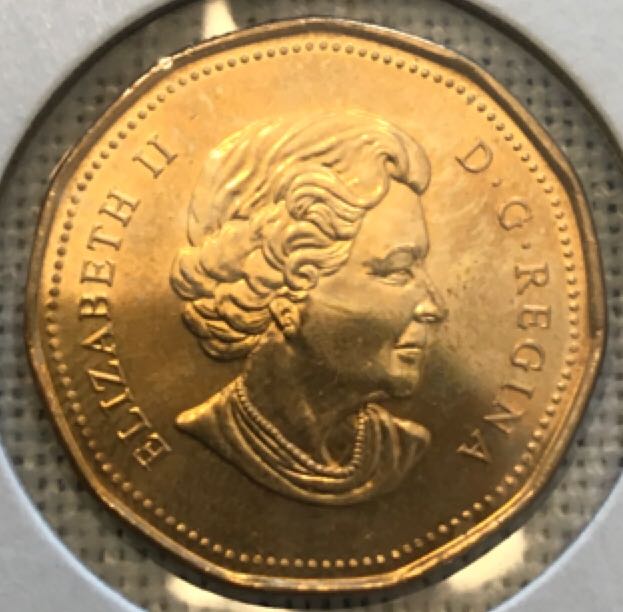 Dollar  coin collectible - Main Image 2