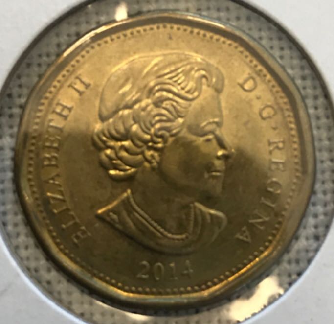Dollar  coin collectible - Main Image 2