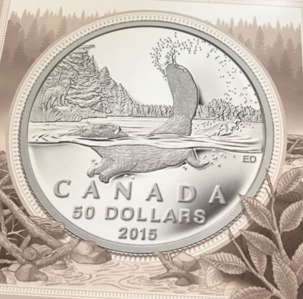 50 Dollars Castor  coin collectible - Main Image 2