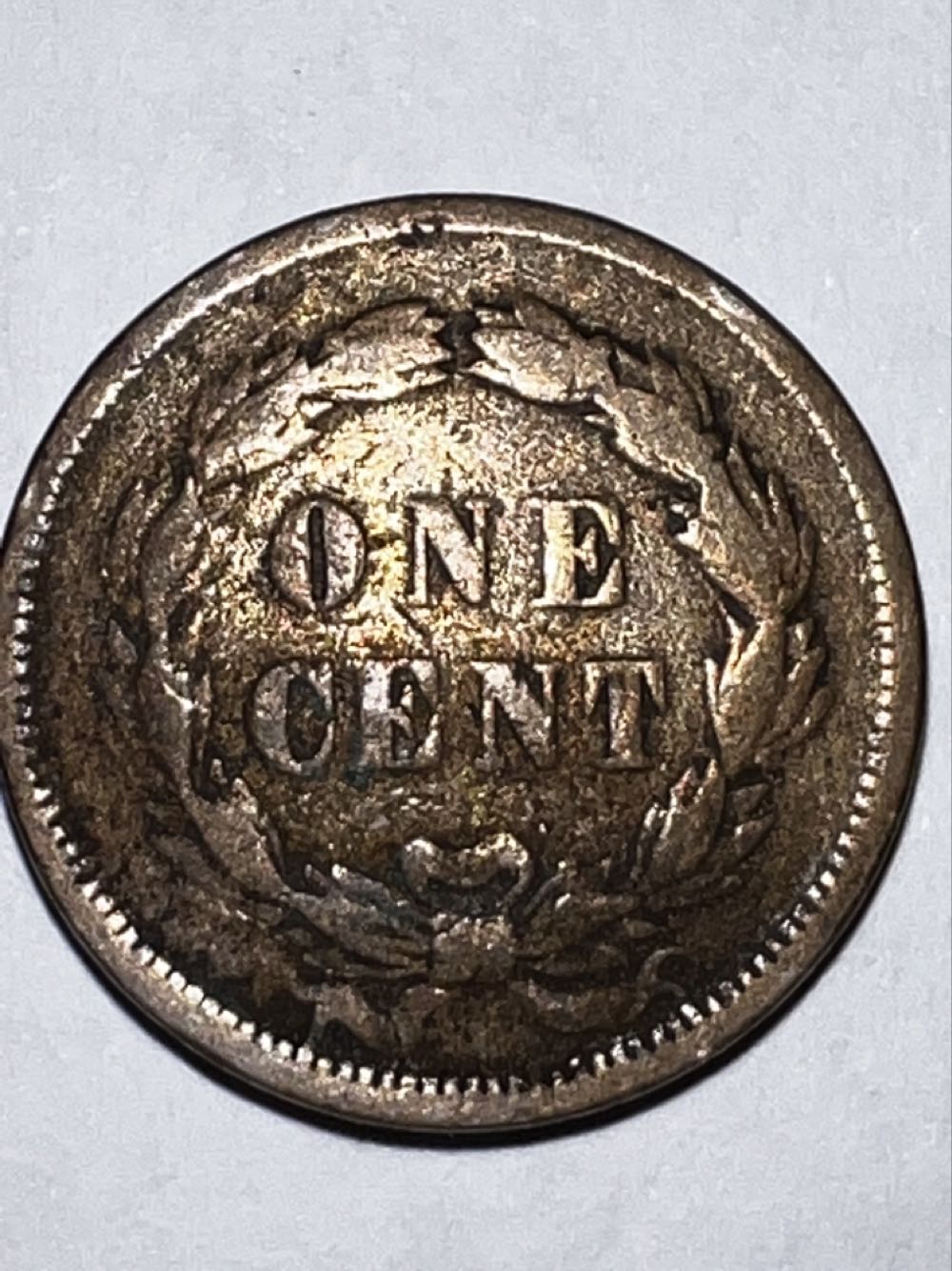 1859 Indian Head Cent  coin collectible - Main Image 2