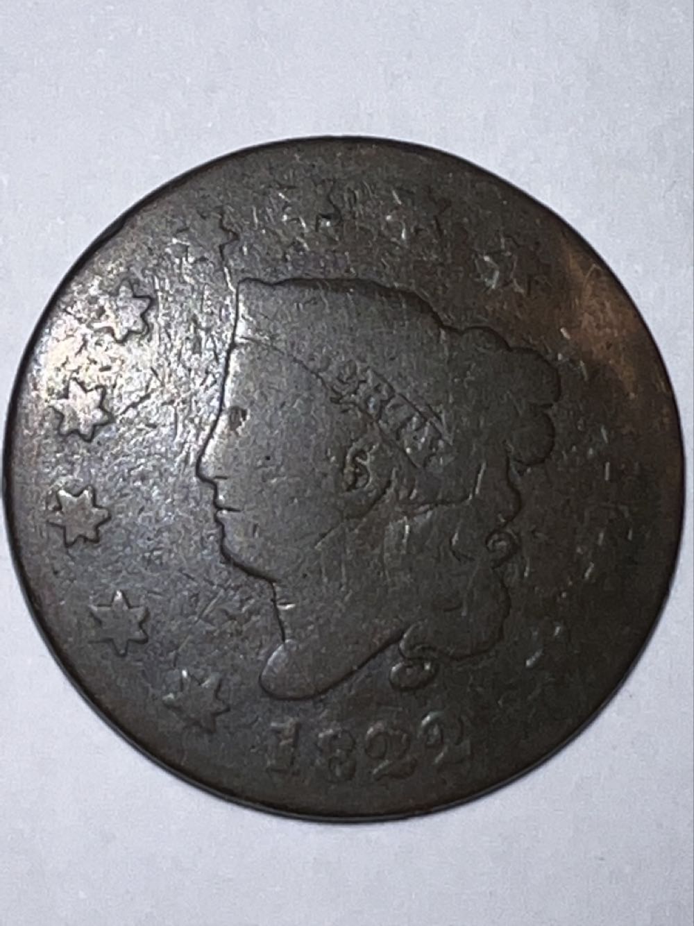 World Of Disney Piglet Disney Springs