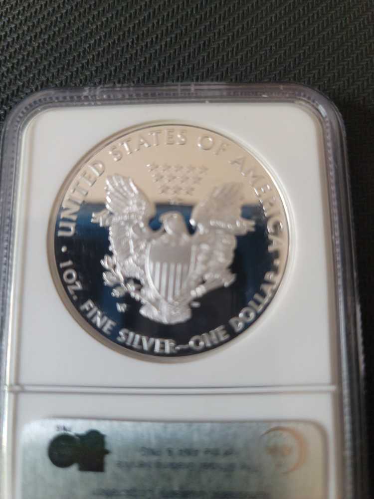 American Eagle 2008 W  coin collectible - Main Image 2